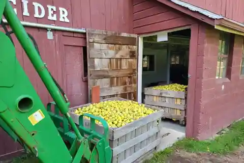 Restored 1740 Farm with Cidery