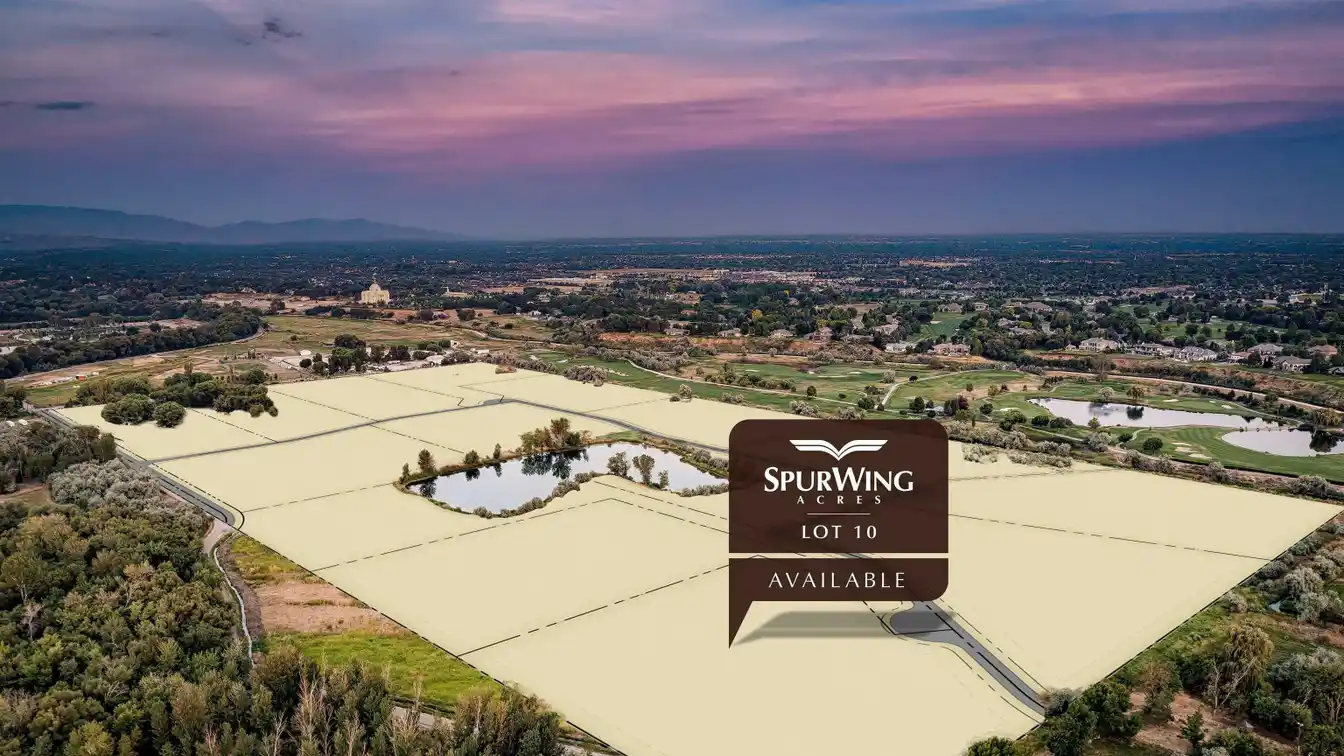 Incredible Property in Spurwing Acres