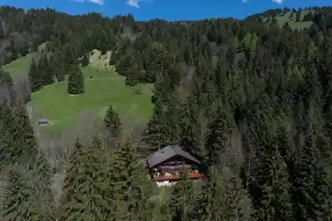 Secluded Alpine Retreat with Modern Comforts