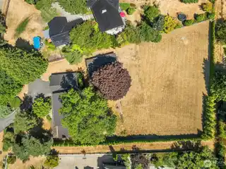 Amazing Opportunity in Bridle Trails