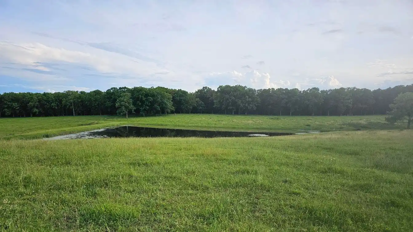 Beautiful 196-acre Property
