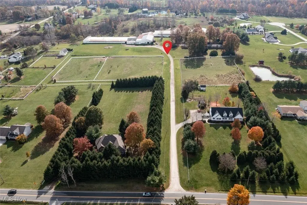 Large Image