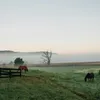 Ranch