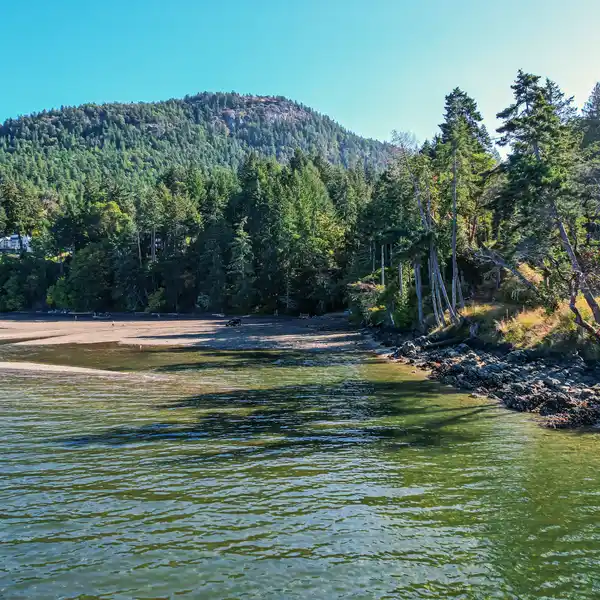 LOW BANK WATERFRONT 3-ACRE LOT