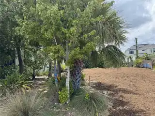 Build Your Custom Estate Home on the Coveted Davis Islands