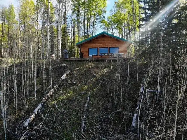 Large Image