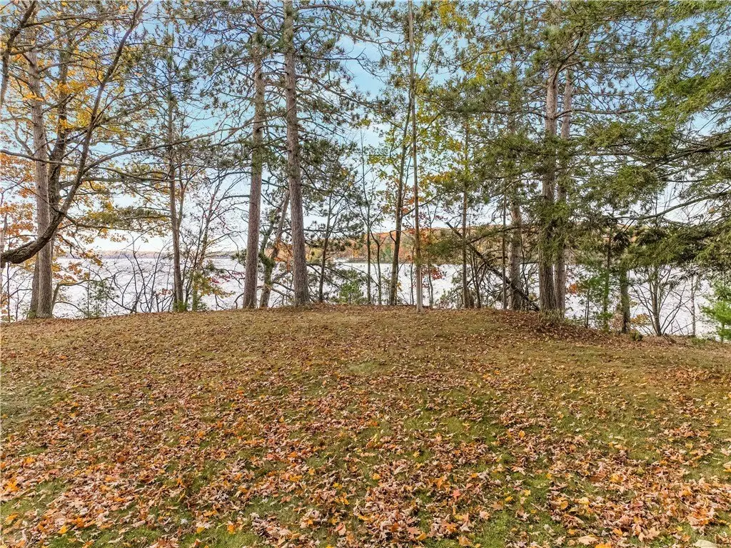 Large Image