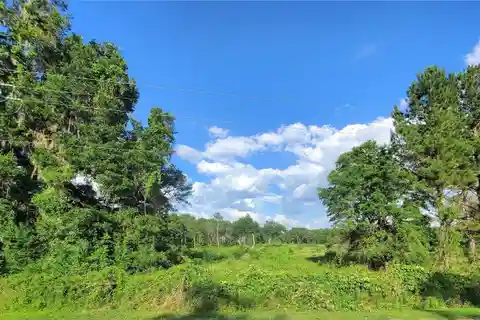 Over 32 Acres in Marion County