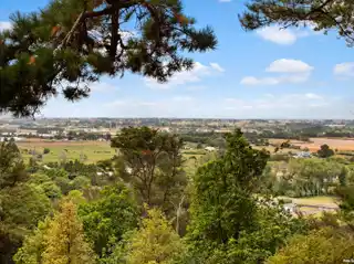 Executive Multi-Level Home with Stunning Views