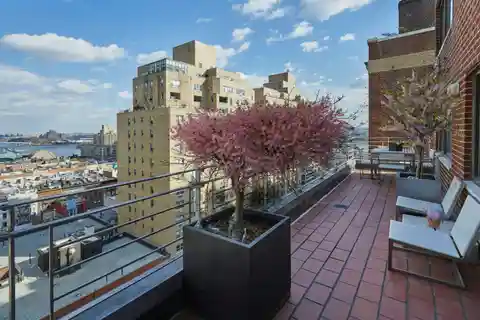 Indoor and Outdoor Oasis