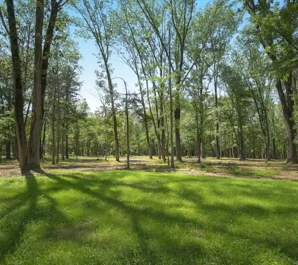 29.9-ACRE HOME SITE IN SINGING WOOD FARM