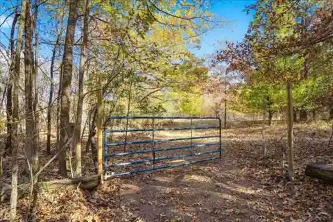 Two Parcels Totaling Nearly 44 Acres