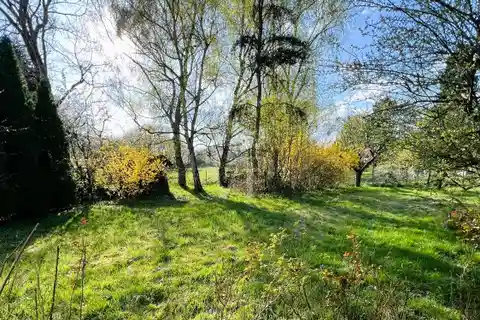 Living on One Level Spacious Bungalow in a Picturesque Field Edge Location