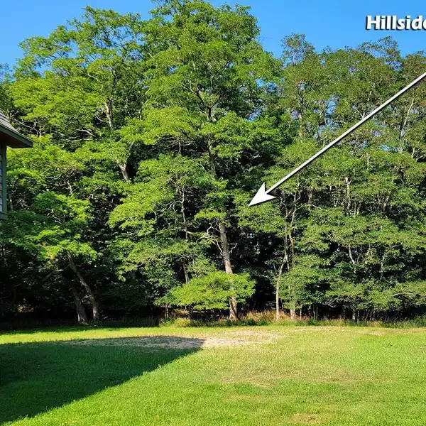 WOODED PARCEL IN THE VILLAGE OF EMPIRE