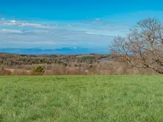 Centrally Located 101 Acres