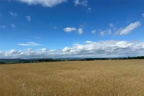 Create a Dream Retreat on 24 Acres