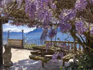 Exceptional Property in the Heart of Lavaux