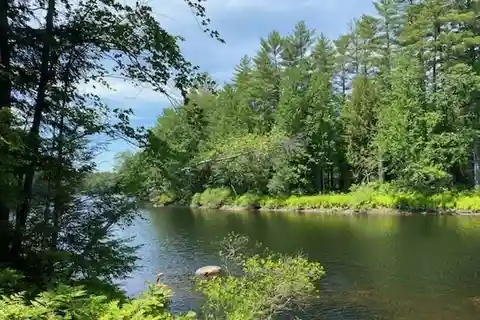 104 Pristine Wooded Acres