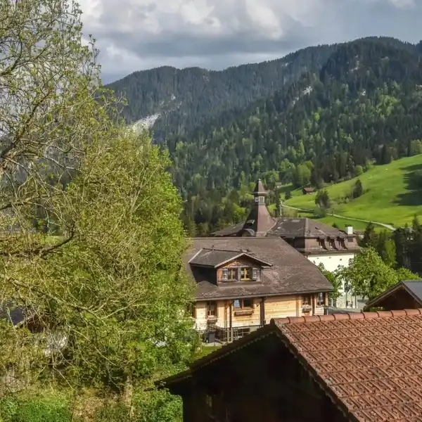 NEWLY BUILT MODERN CHALET