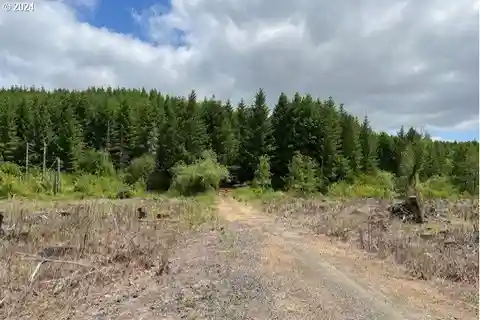 175 Acres Full of Potential