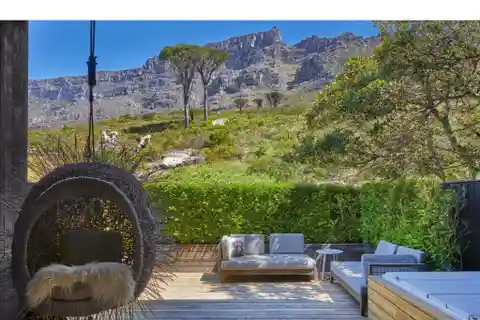 Contemporary Luxury Meets Natural