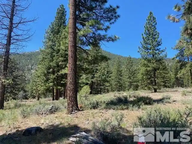 Exceptional Opportunity at Clear Creek Tahoe