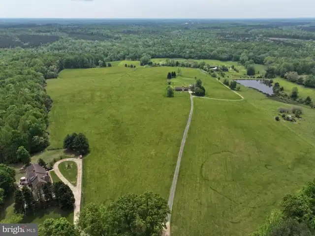 Large Image