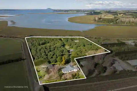 Harbour Views with Thriving Avocado Orchard