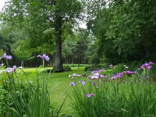 Timeless Beauty Surrounded by Protected Nature