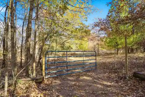 Two Parcels Totaling Nearly 44 Acres