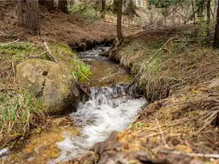 Rosewood Creek Dream Lot