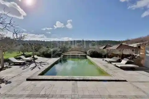 Peace and Tranquility in Provence