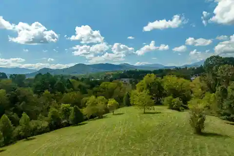 29 Lush Acres
