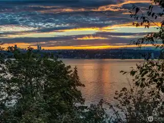 Evergreen Lakeshore Preserve