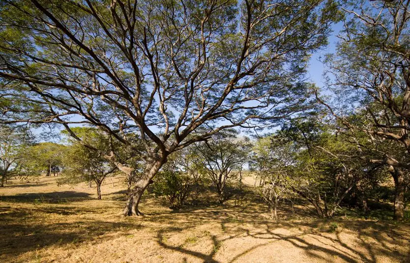 Small Image