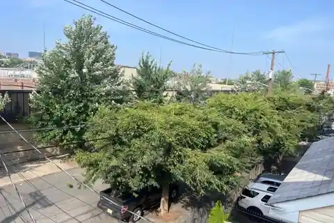 Exquisite Three-Family Home