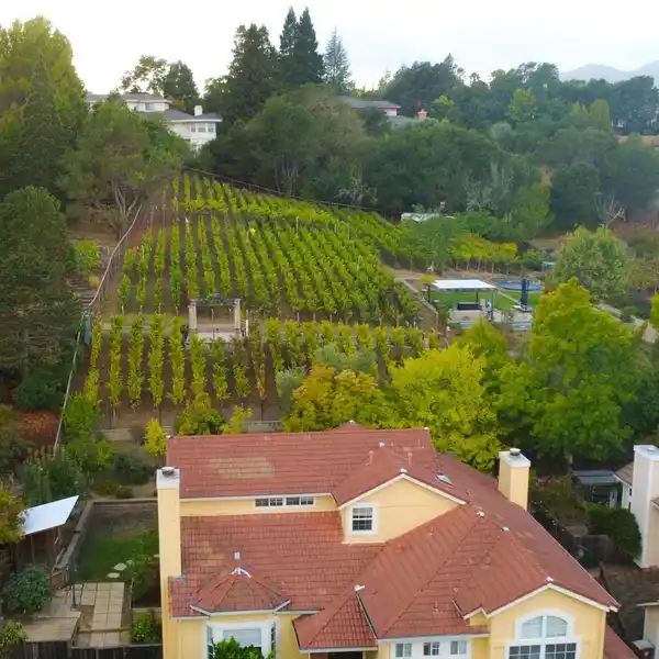 SPACIOUS HOME WITH VINEYARD AND BEAUTIFUL HILLSIDE VIEWS