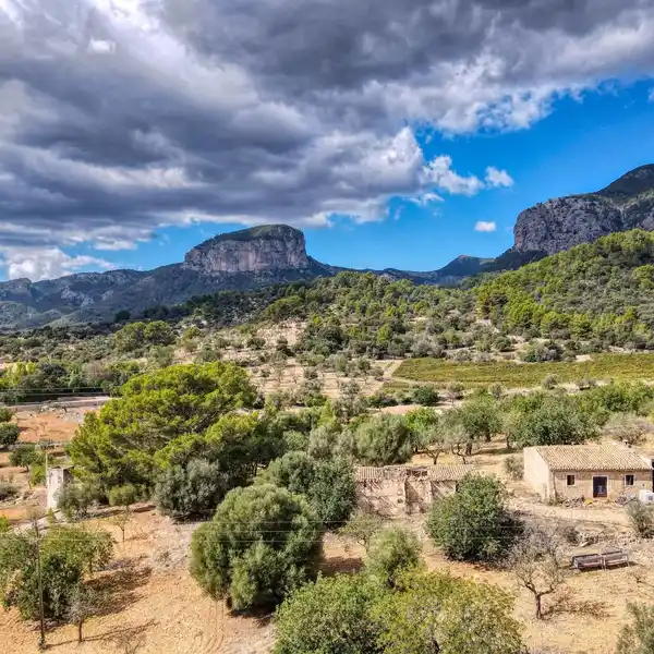 EXPANSIVE PROPERTY OFFERING UNIQUE POSSIBILITIES