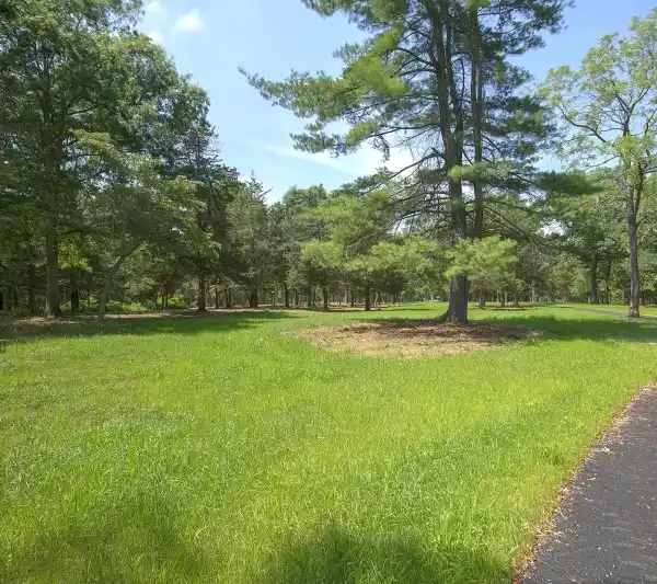 NINE ACRES IN SINGING WOOD FARM