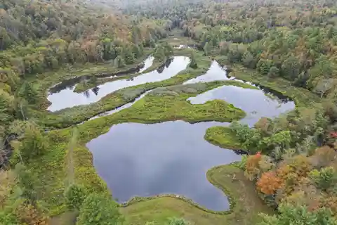 Fabulous 220-Acre Property