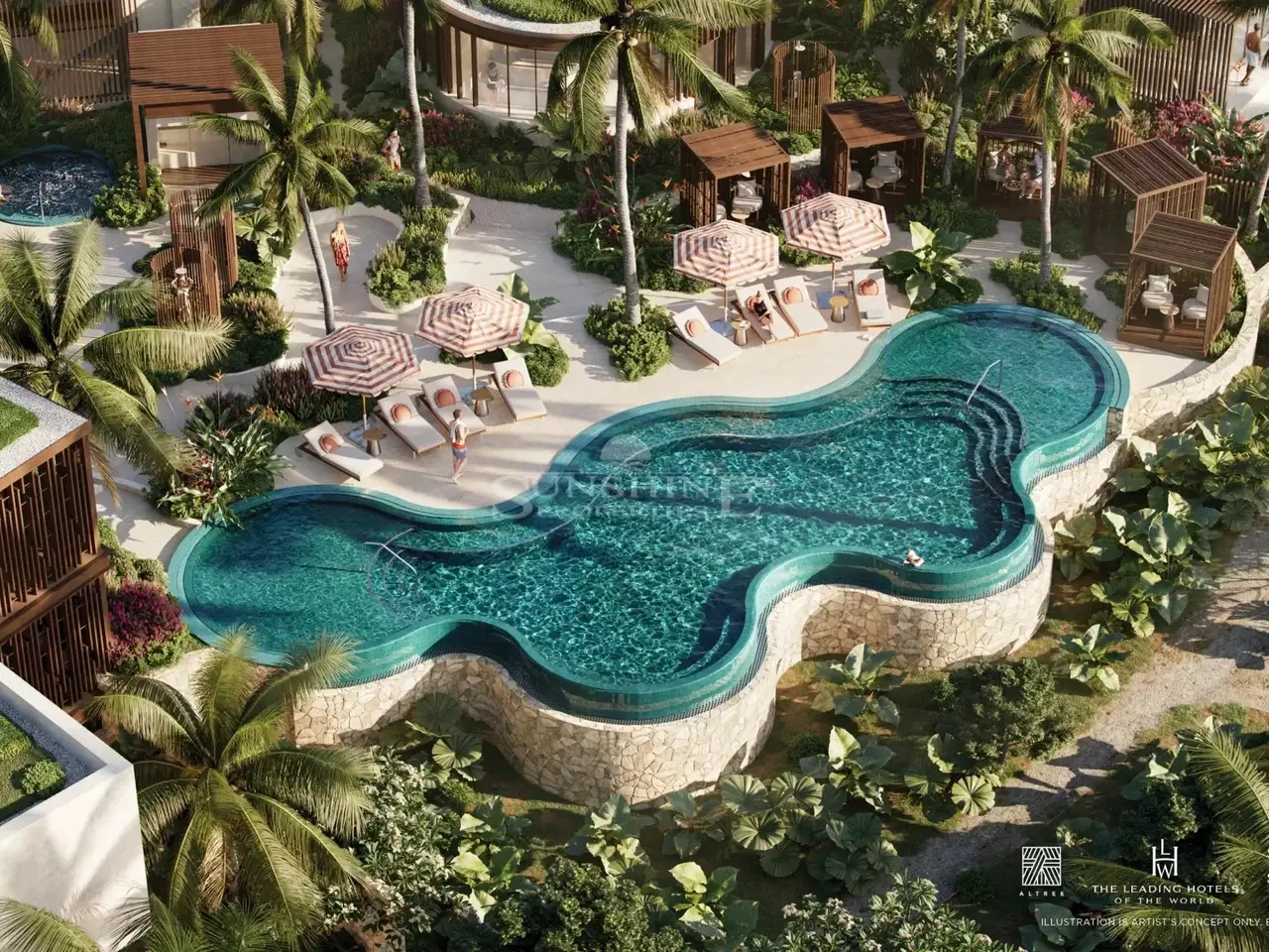 Large Image
