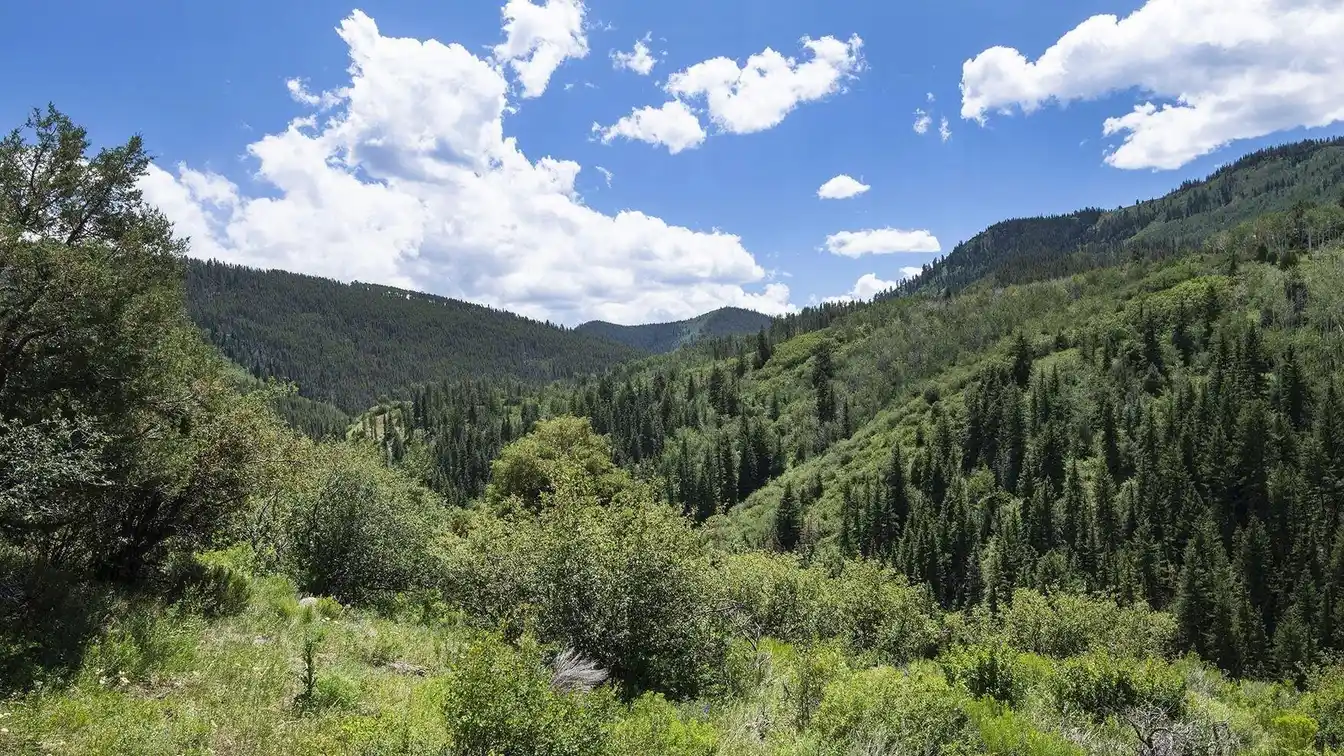 18-acre Parcel in Gated Colorow