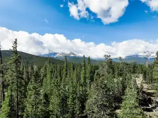 Nine Acre Homestead Within a Prestigious Gated Community