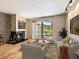 Multi-Level Condo with Peaceful Wooded Views