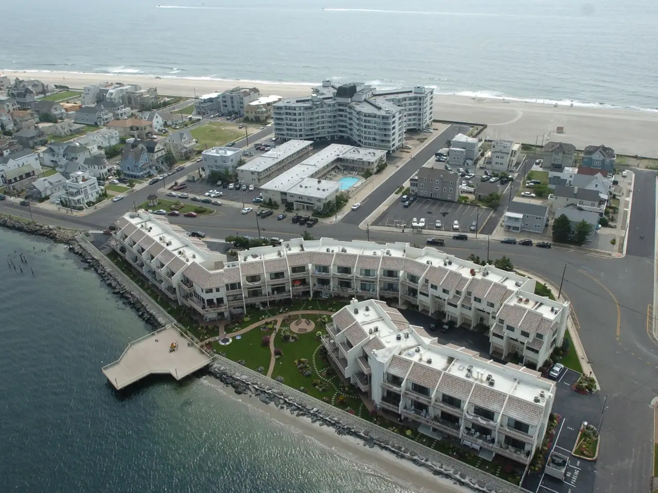 Large Image