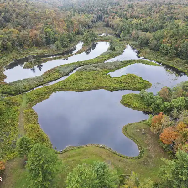 FABULOUS 220-ACRE PROPERTY