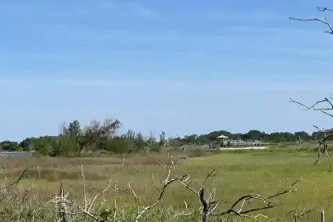 Large Intracoastal Waterfront Tract