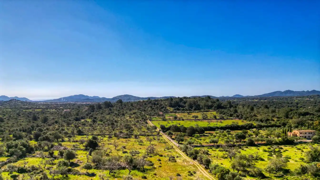 Large Plot with House to Renovate Surrounded by Nature in Artà