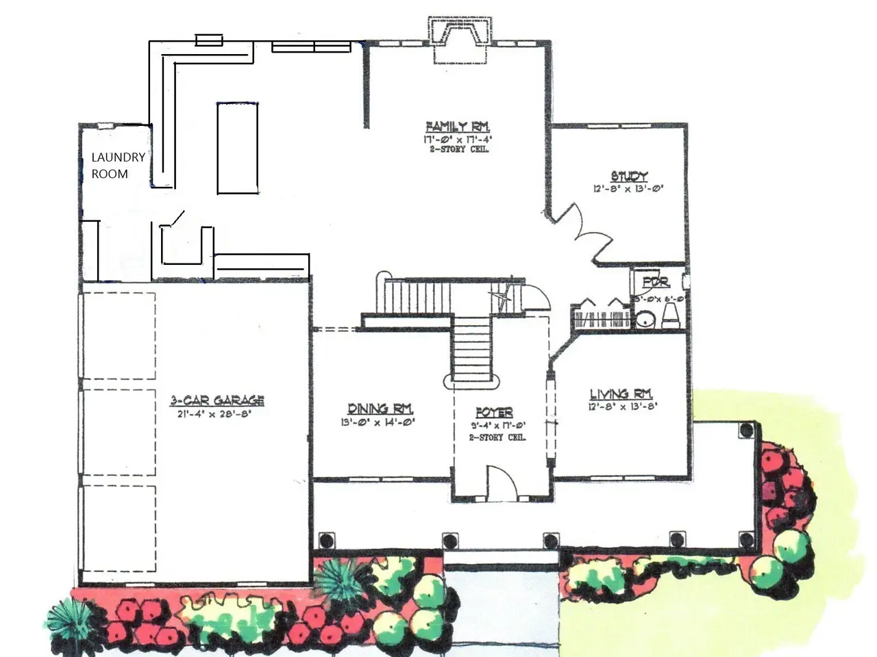 Large Image