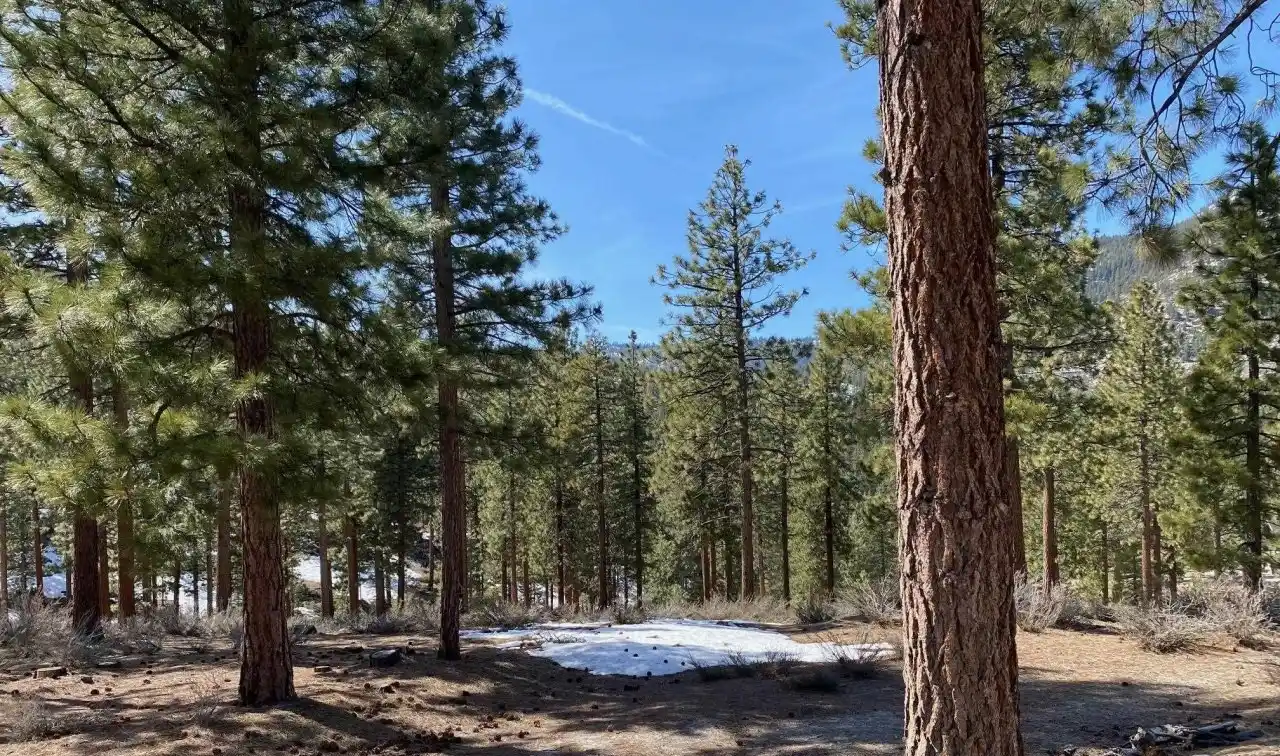 Unbelievable Homesite with Stunning Mountain Views